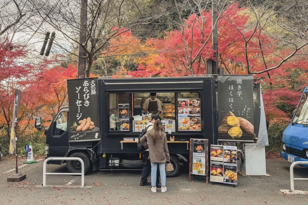 ぱくまい。